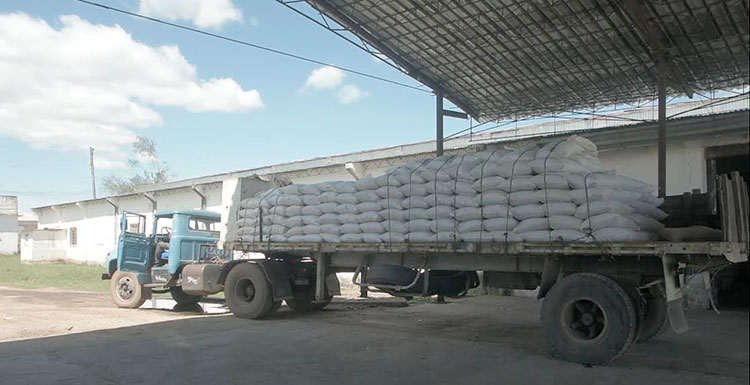 La carga de camiones de forma totalmente manual ralentiza la distribución de la canasta familiar, aunque hay fuerzas de apoyo contribuyendo a realizar esta tarea. Foto: Yolanda Molina Pérez