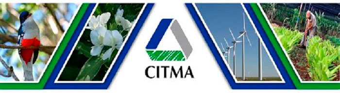 El Citma premiará a estudiantes y jóvenes investigadores | Trabajadores