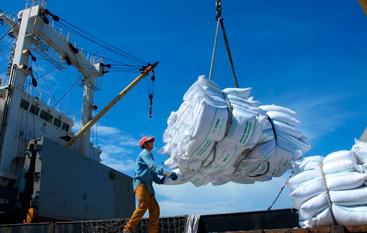 La exportación es la vía eficaz para elevar los ingresos financieros a la economía nacional, por lo que debe dársele la mayor prioridad. Foto: Modesto Gutiérrez/ACN