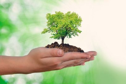 Reitera programa de ONU apoyo a Cuba por su gestión ambiental