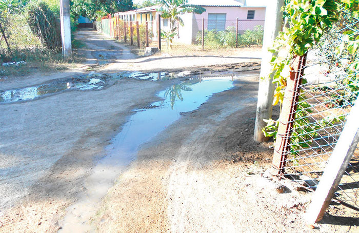 Foto: Omar M. Rodríguez Negro