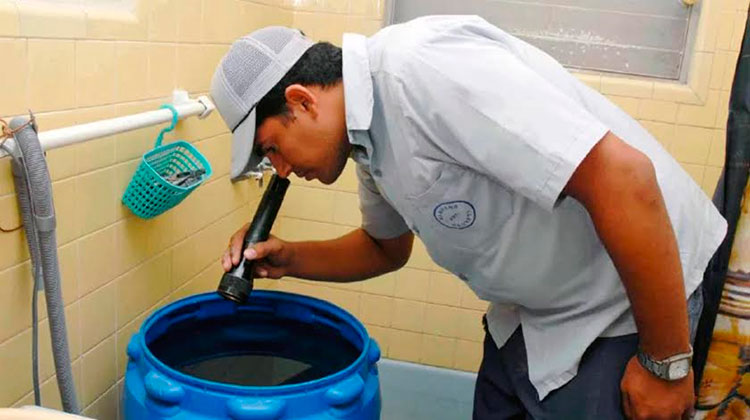 Camagüey continúa como una de las provincias del país con más alta transmisión del dengue, por lo que las autoridades sanitarias llaman a la población a intensificar el autofocal. Foto: Tomada de ACN