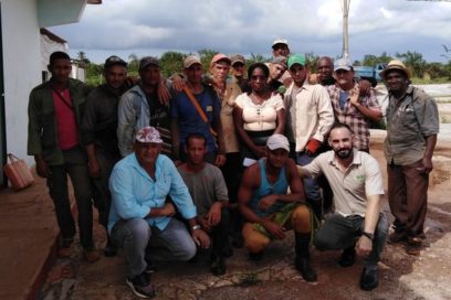 Movilizados de empresas agrícolas apoyan recuperación de casas de cultivos afectadas por Ian (+ Fotos)