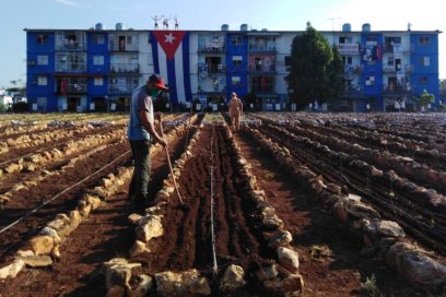 Homenaje a paradigma del trabajo