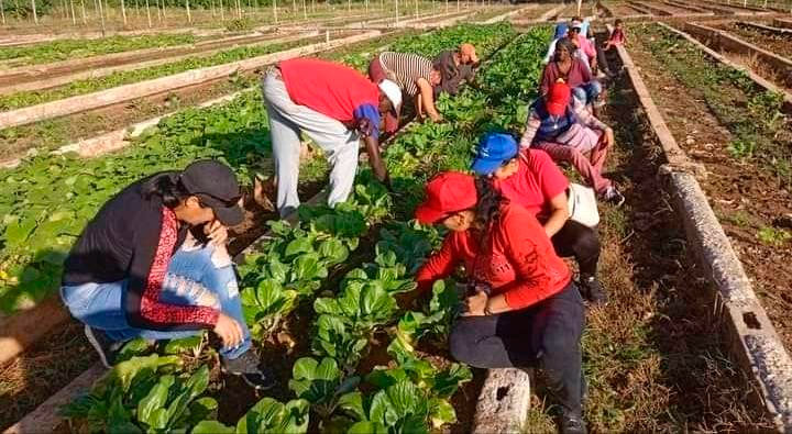 Foto: Maritzabel Mir Rodríguez