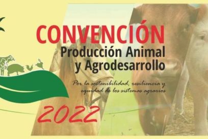 Dinamizar la producción agropecuaria, un propósito de país