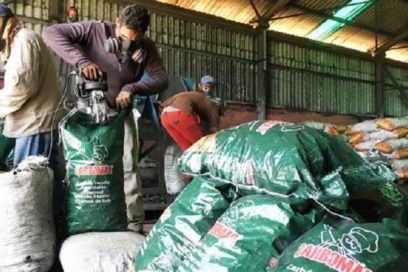 En pleno auge creación de nuevos actores económicos en Cuba