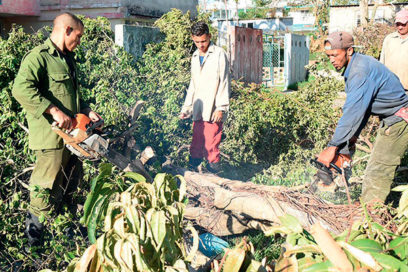 Motoserreros de Mayabeque: Sin casualidad