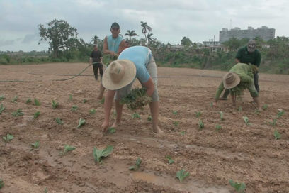 Vegueros por la recuperación