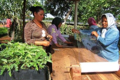 El Día Internacional de las Mujeres Rurales en Las Tunas