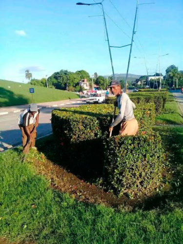 También se trabajó en la higienización de comunidades y arterias principales como la avenida Las Américas. Foto: CTC Santiago