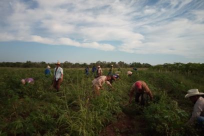 Camagüeyanos se movilizan por amor a Cuba