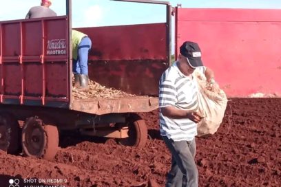 Impulsos productivos desde Camagüey