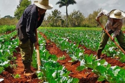 Sesiona Encuentro Internacional de Agroecología