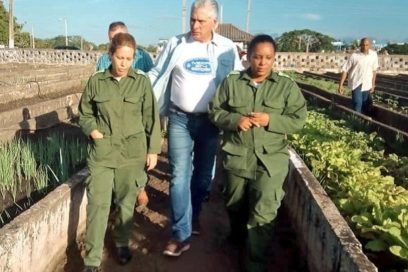 Díaz-Canel visita por octava ocasión Pinar del Río tras el paso de Ian