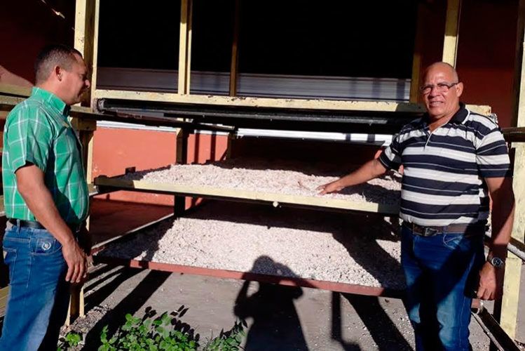 Idalexis Peña Echeverría, director general de la Empresa Porcina Las Tunas, muestra el secadero concebido en secciones móviles que humaniza el trabajo. Foto: Jorge Pérez Cruz