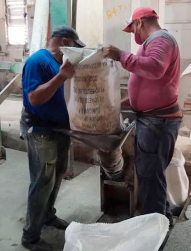 El remolinado de arroz permitió aprovechar el 70 por ciento de los granos que se humedecieron al paso de Ian por la provincia. Foto: Dariny Díaz Díaz