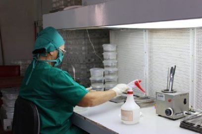 Tres décadas de biotecnología vegetal en Cuba