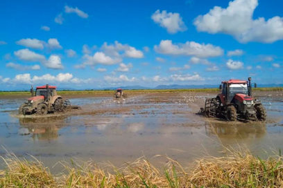 Agricultores pinareños producirán semilla de arroz (+ Fotos)