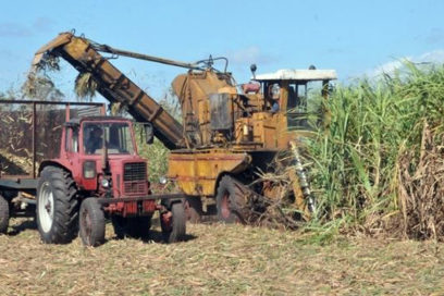 Zafra azucarera 2022-2023: comenzaron los cortes de caña en Cienfuegos