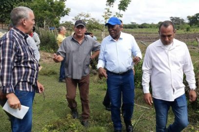 Aboga Valdés Mesa por fortalecer sistemas productivos municipales