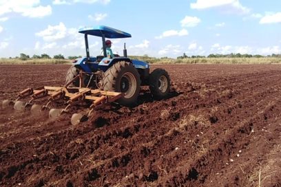 Debatirán sobre producción de alimentos en Ciego de Ávila 