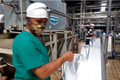 El fruto de los frutos