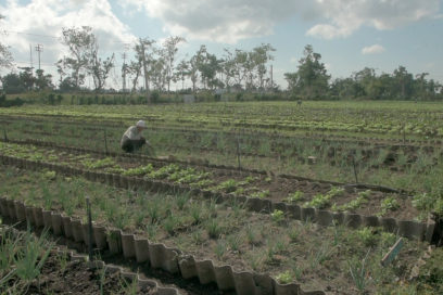 Agricultura urbana y resiliente