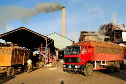Debaten organización de la actual zafra