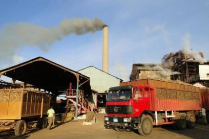 Debate Sindicato Azucarero temas vitales de la zafra actual