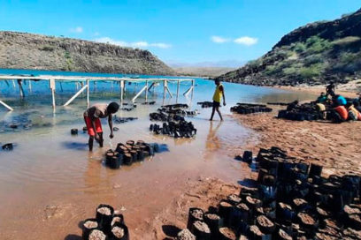 Reclaman mayor inversión en soluciones basadas en la naturaleza