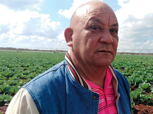 Maceo, el titán de la agricultura avileña, frente a un campo de saludables coles. Foto: José Luis Martínez Alejo