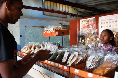 Mipymes: Vereda tropical