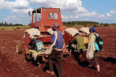 La acalorada campaña de frío