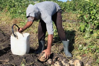 En Sancti Spíritus, luz verde al plan de la economía
