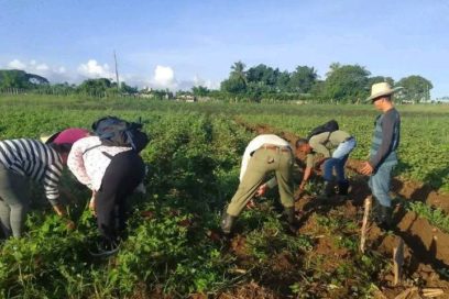 Aniversario 84 de la CTC, en Sancti Spíritus razones para trabajar y vencer