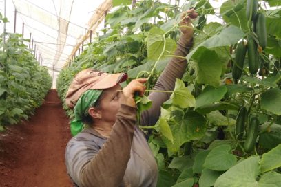 Dinamizar producciones agropecuarias: prioridad del movimiento sindical