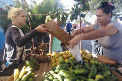 La cobra que más cobra