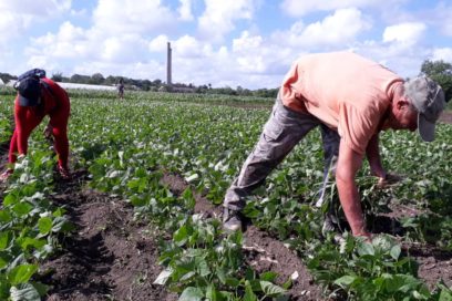 Plan, presupuesto y debate