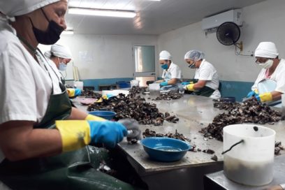 Organizan en Las Tunas Primer Festival nacional del Ostión