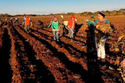En el surco inició en Villa Clara celebración del aniversario CTC