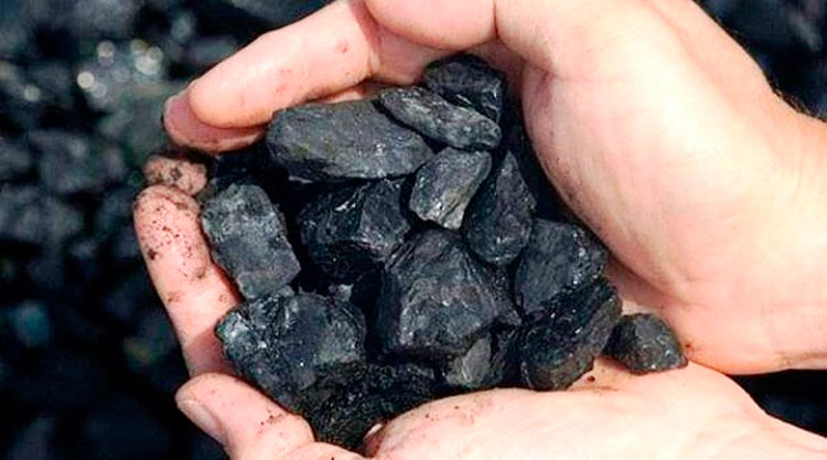 El carbón vegetal se ha consolidado como rubro exportable en la provincia de Cienfuegos. Foto: Periódico 5 de Septiembre