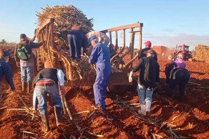 Sembrando se quita el frío