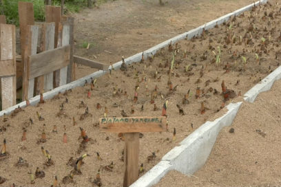 Buenas prácticas ante el cambio climático