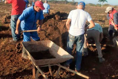 Exigencias y corazón en Matanzas por los 84 de la CTC (+ Fotos)