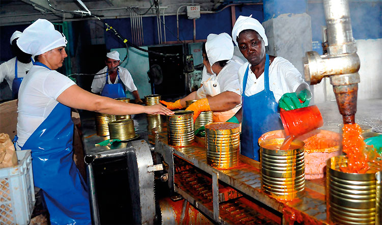 Foto: José Raúl Rodríguez Robleda