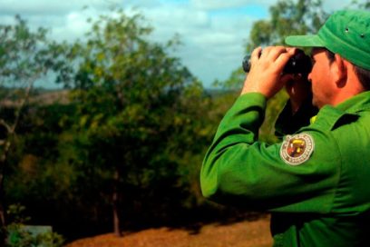Alistan guardabosques su campaña contra incendios forestales