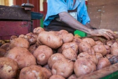 Factores objetivos intervienen en nuevo precio de la papa