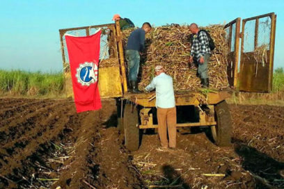Aniversario 84 de la CTC: movilizar las reservas productivas y de eficiencia en Cienfuegos