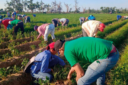 84 años de la CTC: Aniversario al pie del surco